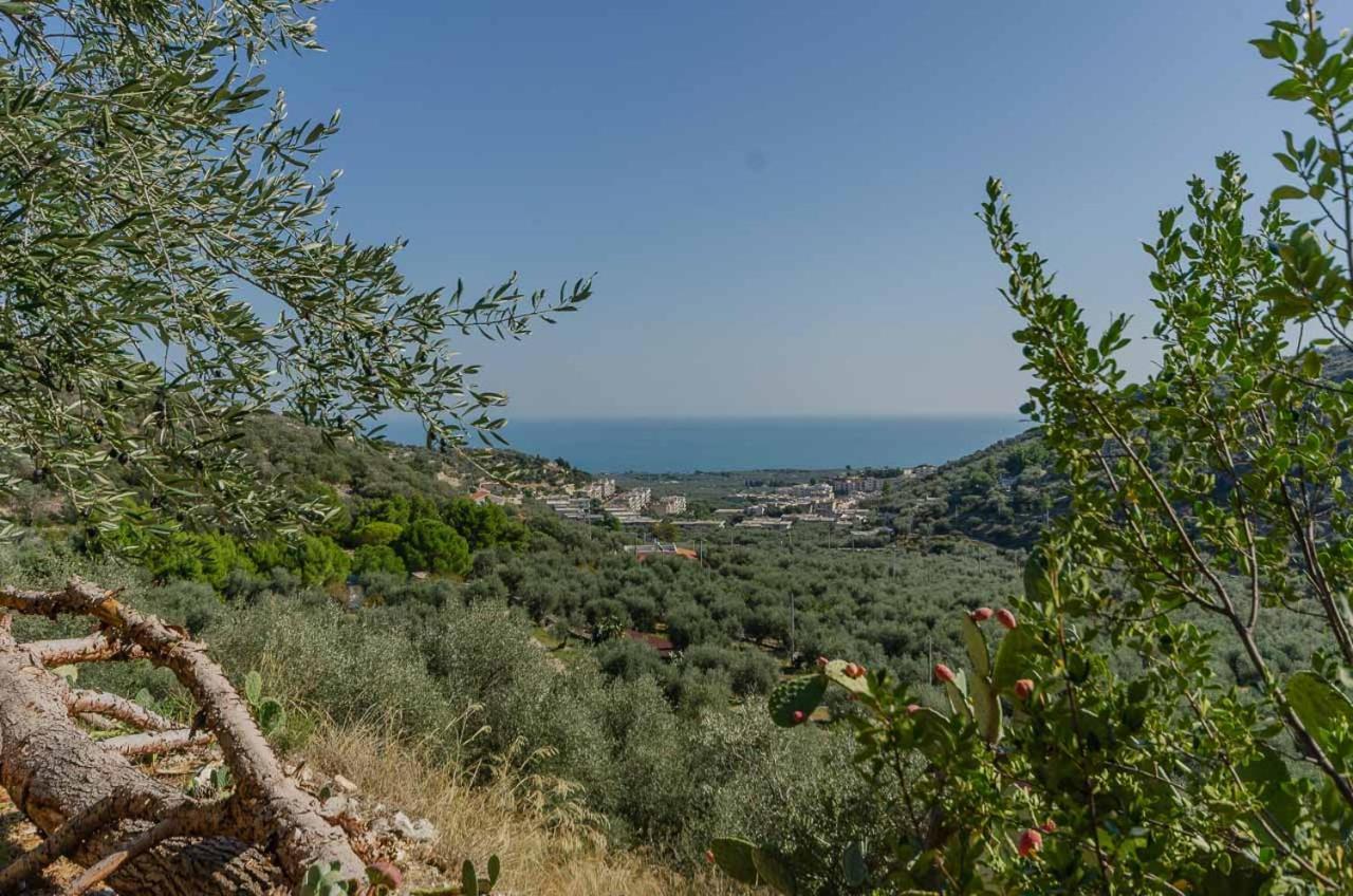 Вілла Agriturismo Madonna Incoronata Маттіната Екстер'єр фото